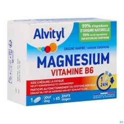 Alvityl Magnesium Vitamine B6 Comp 45