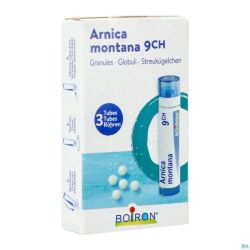 Arnica Montana 9ch Homeopack Gr 3x4g Boiron