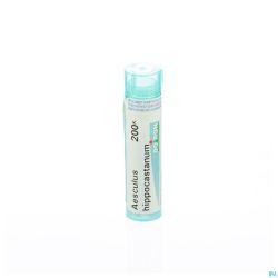 Aesculus Hippocastanum 200k Gr 4g Boiron