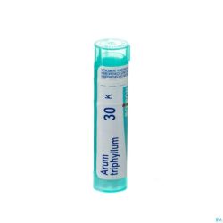 Arum Triphyllum 30k Gr 4g Boiron