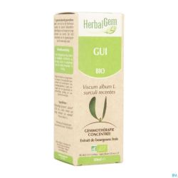 Herbalgem Gui Macerat 50ml
