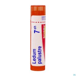 Ledum Palustre 7ch Gr 4g Boiron