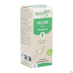 Herbalgem Figuier Bio Spray 15ml