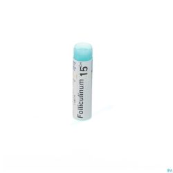 Folliculinum 15ch Gl Boiron