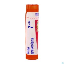 Ruta Graveolens 7ch Gr 4g Boiron