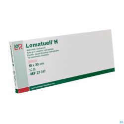 Lomatuell H Compresse Ster 10x30cm 10 23317