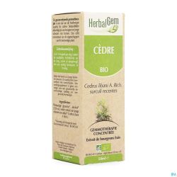 Herbalgem Cedre Macerat 50ml