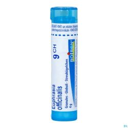 Euphrasia Officinalis 9ch Gr 4g Boiron