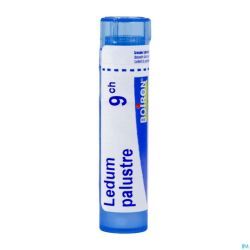 Ledum Palustre 9ch Gr 4g Boiron