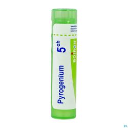 Pyrogenium 5ch Gr 4g Boiron
