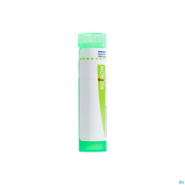 Chamomilla Vulgaris 5ch Gr 4g Boiron