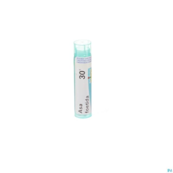 Asa Foetida 30k Gr 4g Boiron