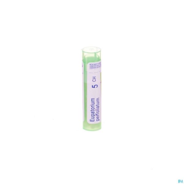 Eupatorium Perfoliatum 5ch Gr 4g Boiron
