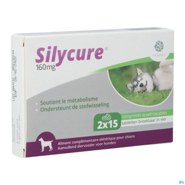 Silycure 160mg Comp 2x15