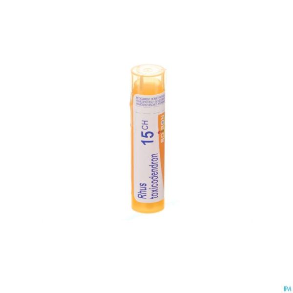 Rhus Toxicodendron 15ch Gr 4g Boiron