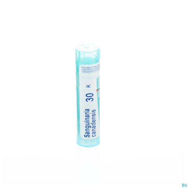 Sanguinaria Canadensis 30k Gr 4g Boiron