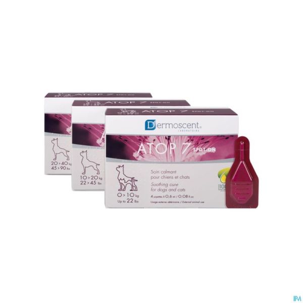 Dermoscent Atop 7 Spoton Chien Chat 1-10kg 4x0,6ml