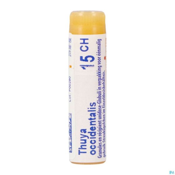 Thuya Occidentalis 15ch Gl Boiron