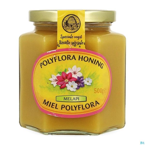 Melapi Miel Polyflora Tendre 500g 5531 Revogan