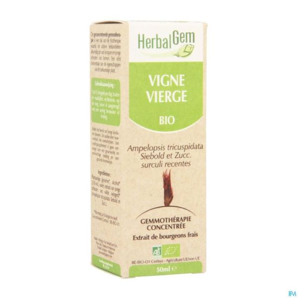 Herbalgem Vigne Vierge Macerat 50ml