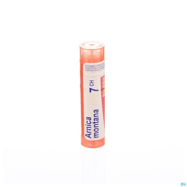 Arnica Montana 7ch Gr 4g Boiron