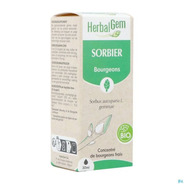 Herbalgem Sorbier Bio 30ml