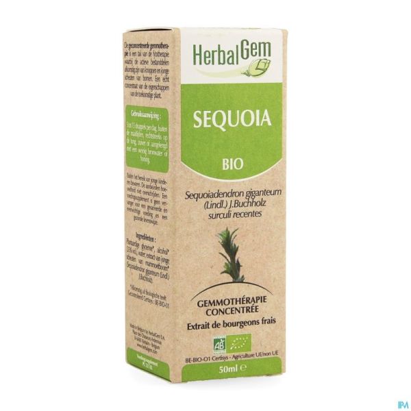 Herbalgem Sequoia Macerat 50ml