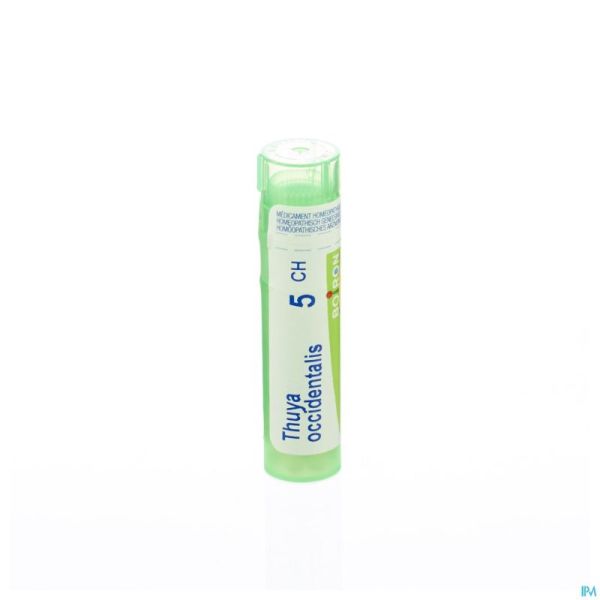 Thuya Occidentalis 5ch Gr 4g Boiron