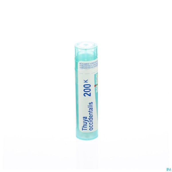 Thuya Occidentalis 200k Gr 4g Boiron