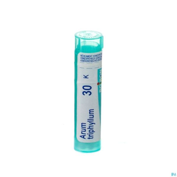 Arum Triphyllum 30k Gr 4g Boiron