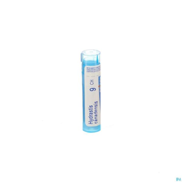 Hydrastis Canadensis 9ch Gr 4g Boiron