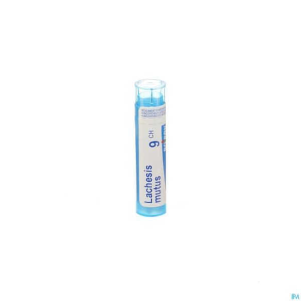 Lachesis Mutus 9ch Gr 4g Boiron