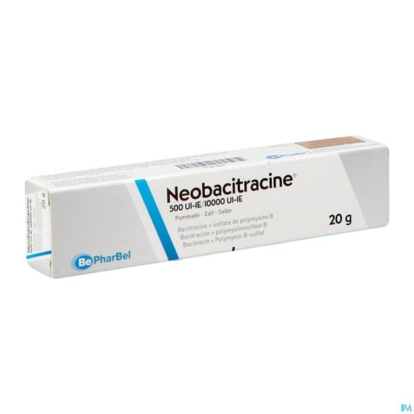 Neobacitracine Nf Pomm. Derm. 20g