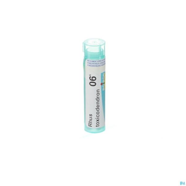 Rhus Toxicodendron 6k Gr 4g Boiron