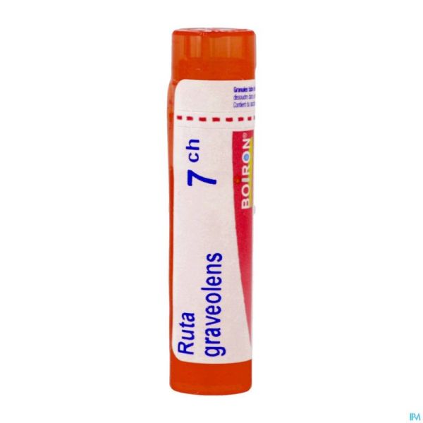 Ruta Graveolens 7ch Gr 4g Boiron