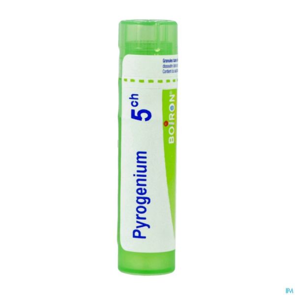 Pyrogenium 5ch Gr 4g Boiron
